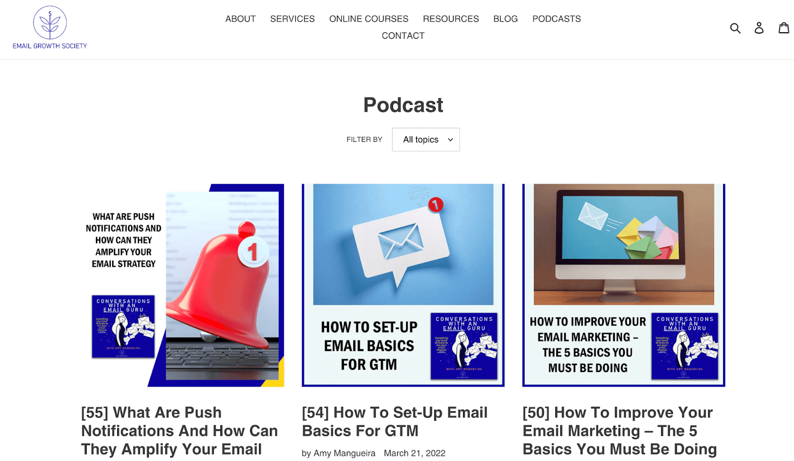 Homepage of the podcast, Conversations with an Email Guru