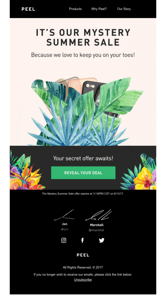 Example of best selected promotional email