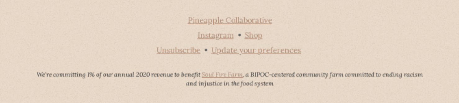 Email footer example from Pineapple Collaborative